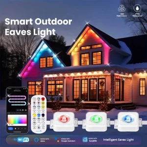 Permanent Outdoor Lights