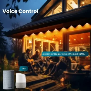 Permanent Outdoor Lights